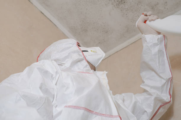 Best Industrial Mold Remediation in Laurel Springs, NJ