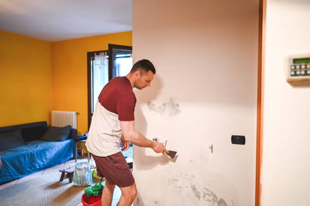 Best Black Mold Remediation in Laurel Springs, NJ